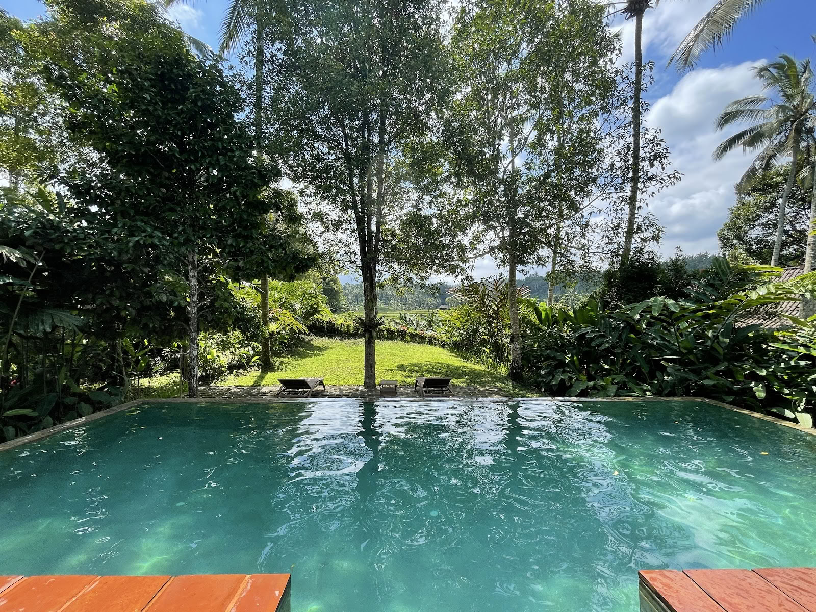 Clove Tree Hill - Bali Eco Resort