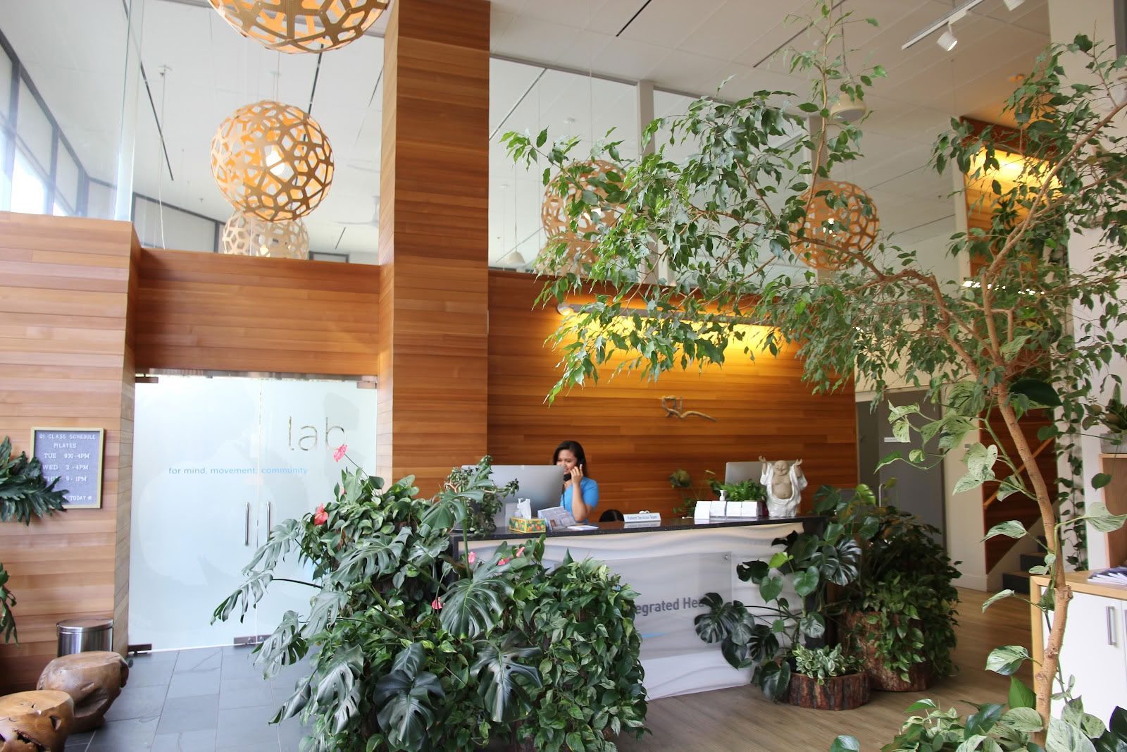 Qi Integrated Health