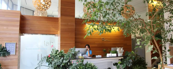 Qi Integrated Health