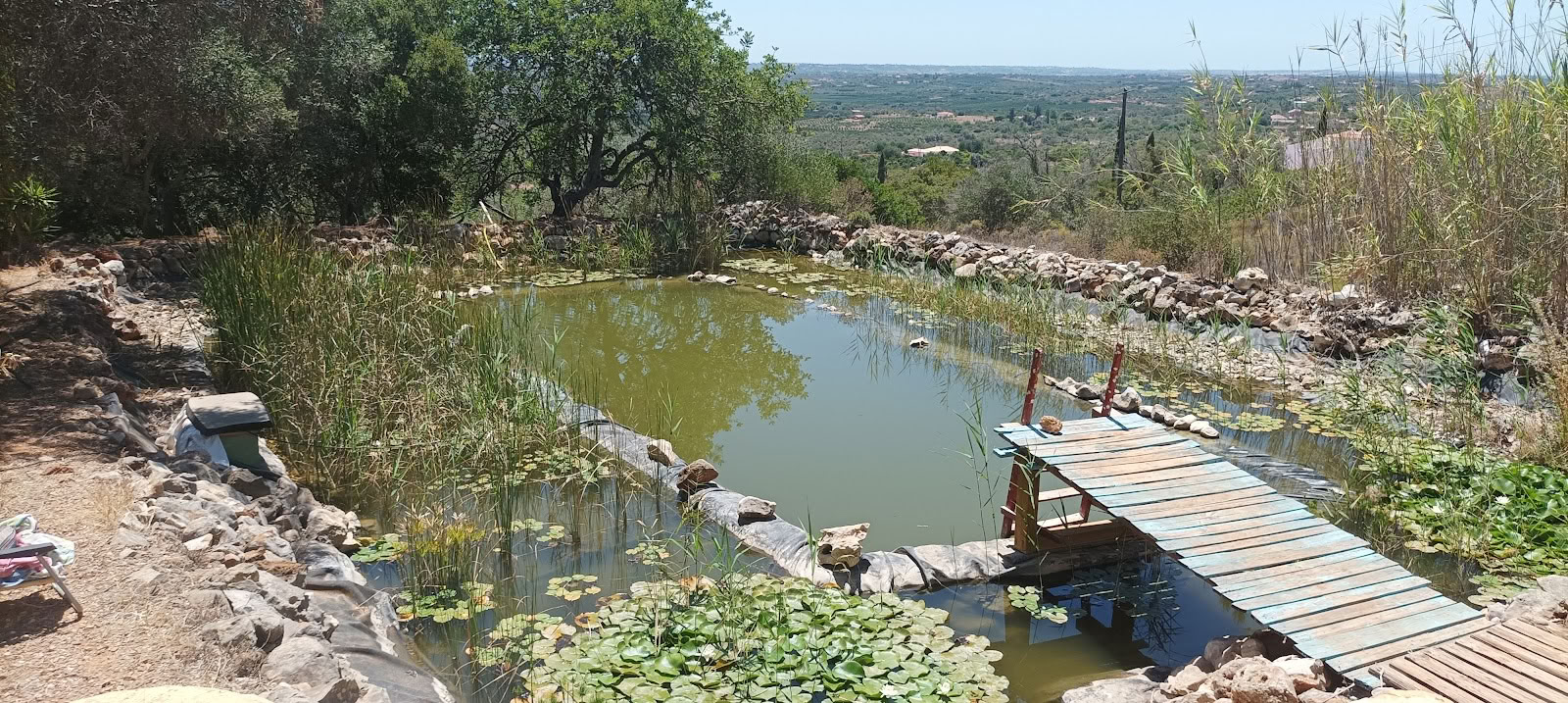 The Healing Circle Sanctuary