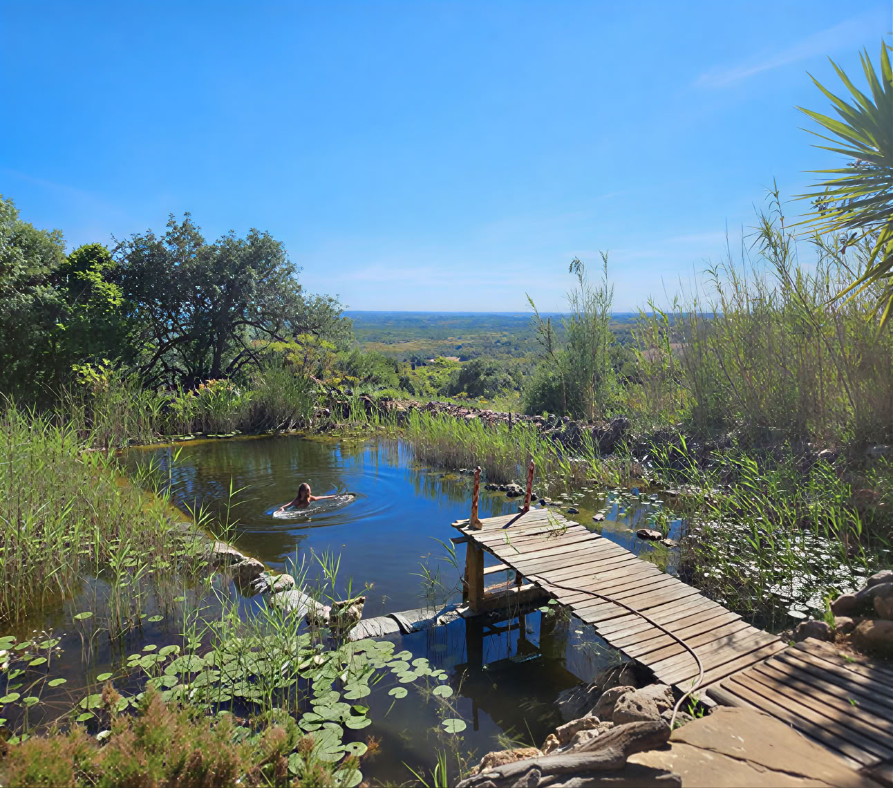 The Healing Circle Sanctuary