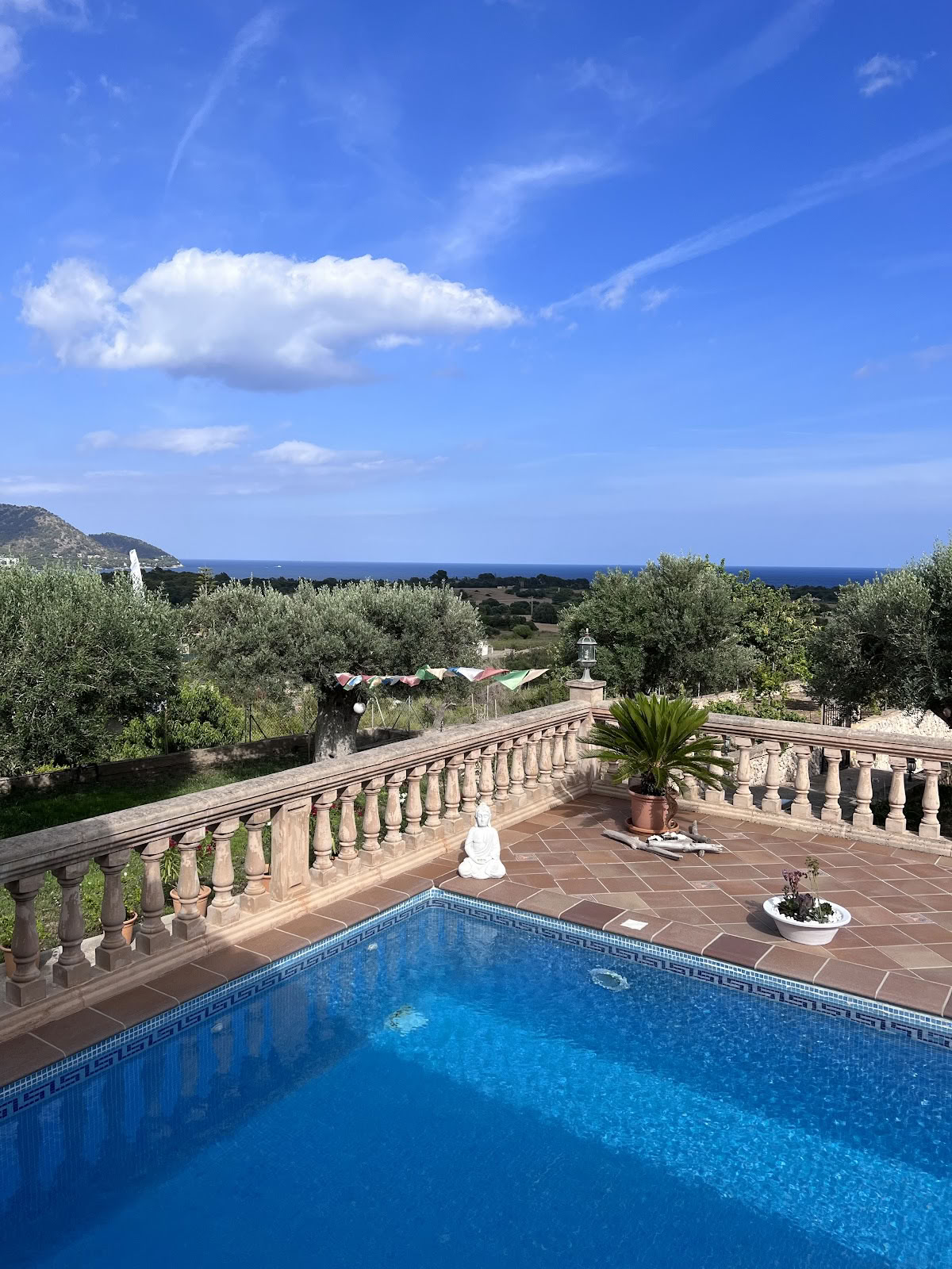 Ashram Mallorca | Breathwork Journeys | EMDR & Hypnosis | Coaching | Heart Opening & Vision Work