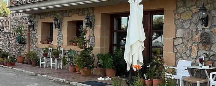 Ashram Mallorca | Breathwork Journeys | EMDR & Hypnosis | Coaching | Heart Opening & Vision Work