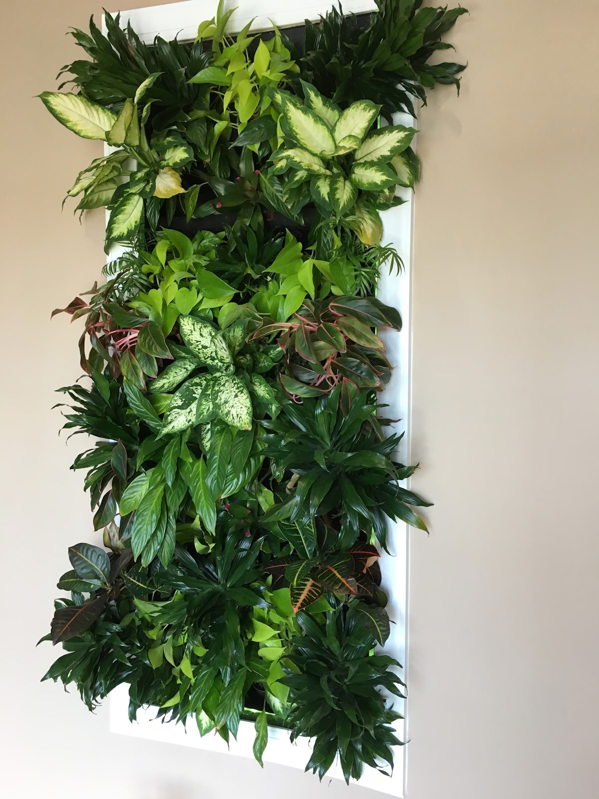 Mystic Flow Wellness Center