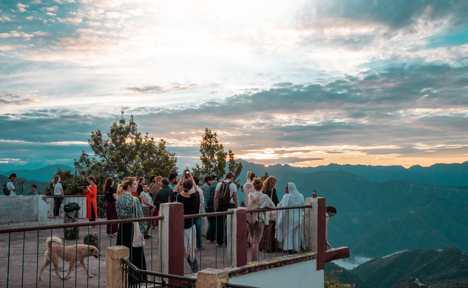 Samadhi Yoga Ashram - Best Yoga School in Rishikesh India