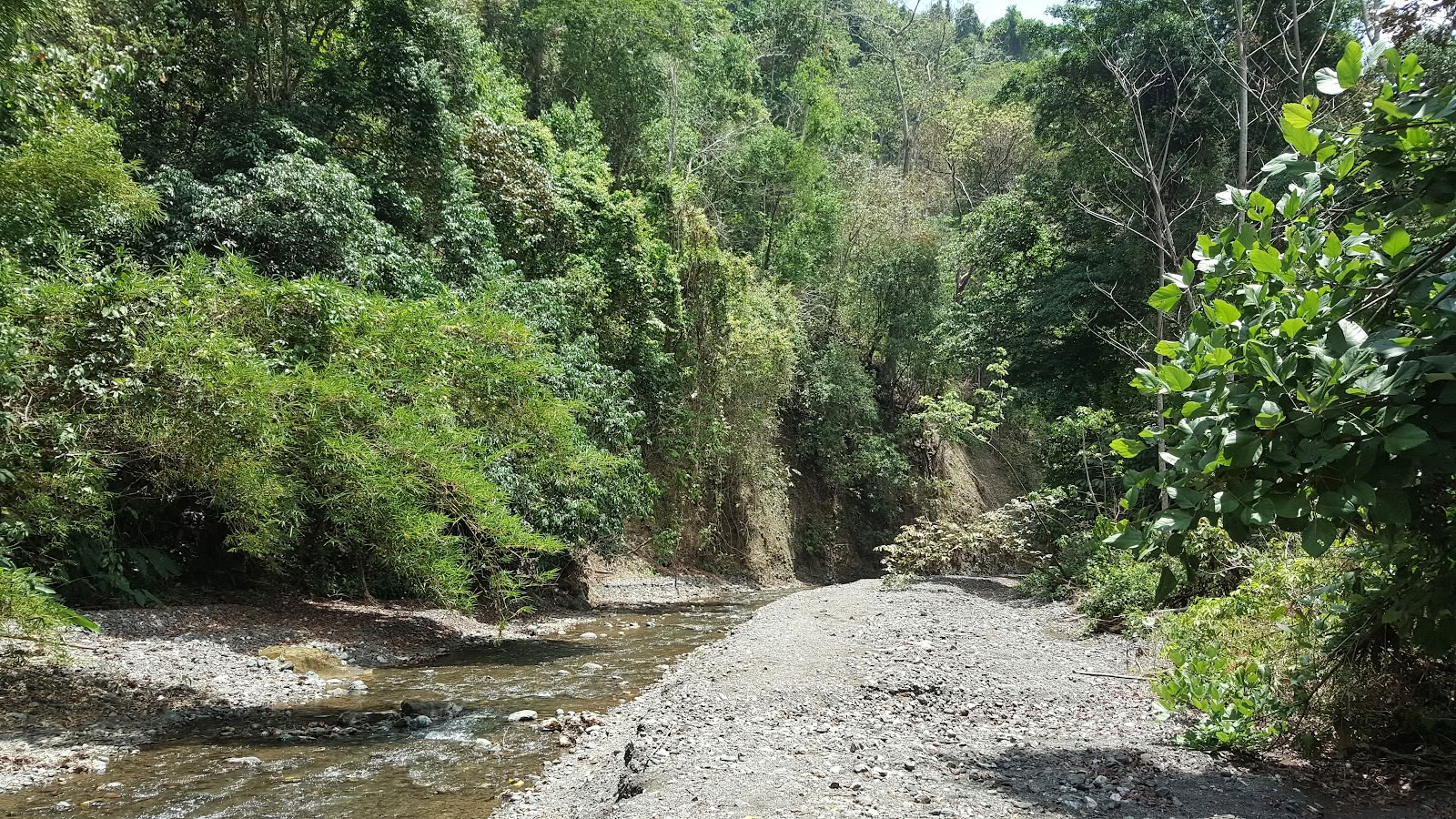 Osa Peninsula