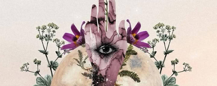 Wild Primordial Nature