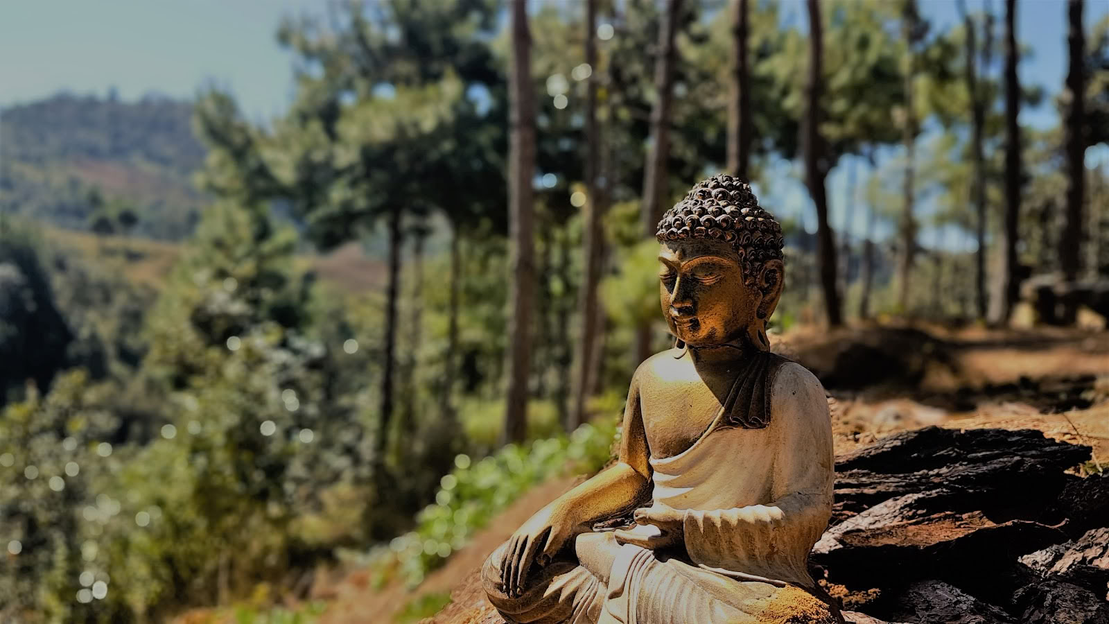 Hridaya Family Meditation & Yoga Retreat Center
