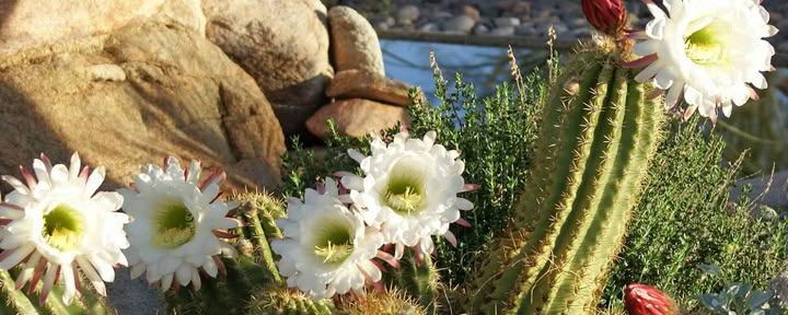 Spirit in the Desert Retreat Center