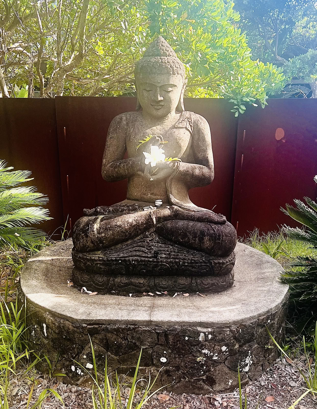 Byron Bay Retreats