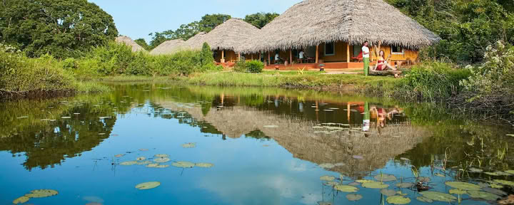 Amuna Ayurveda & Wellness Retreat