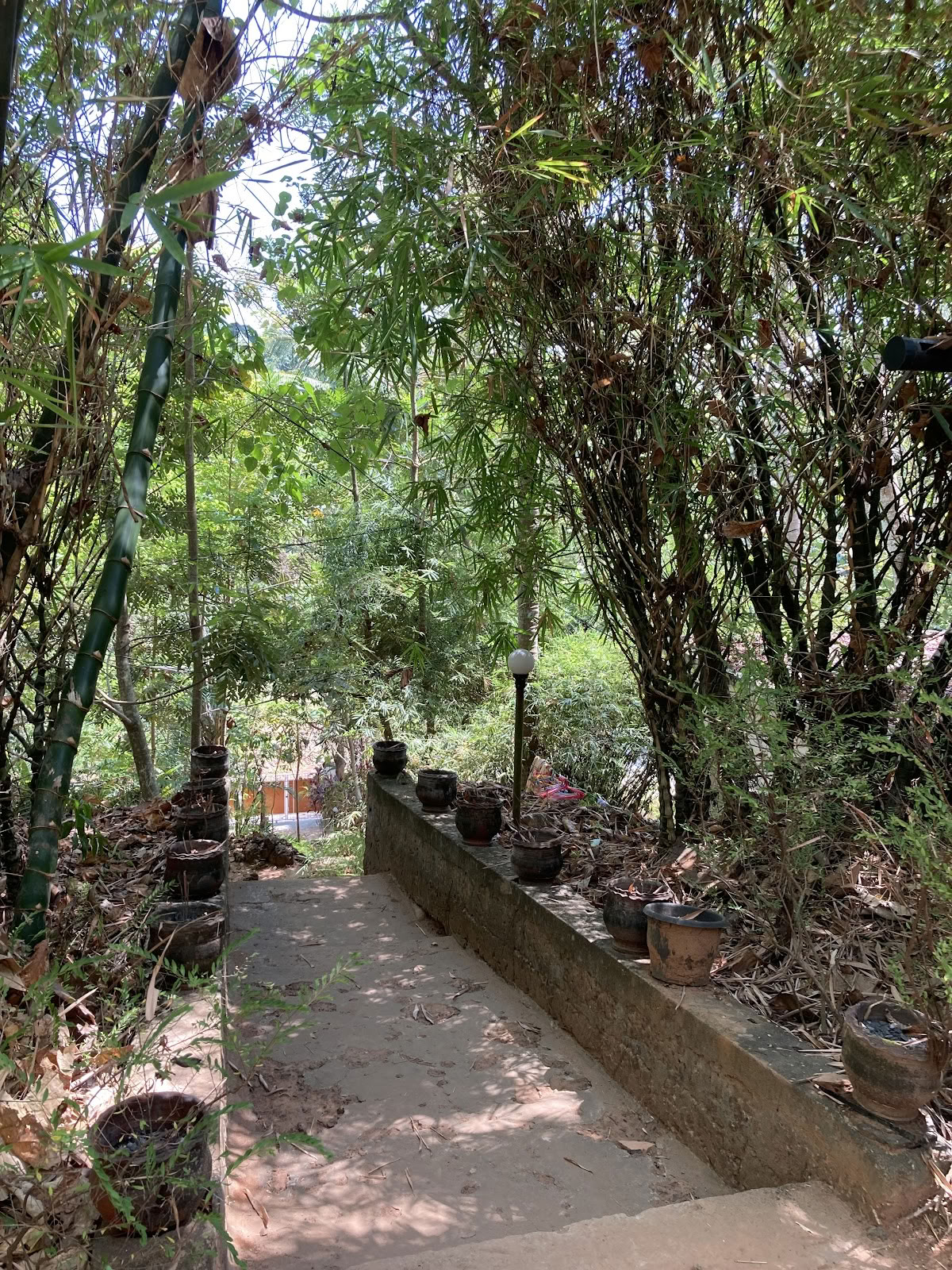 Agnihotra Yoga Retreat