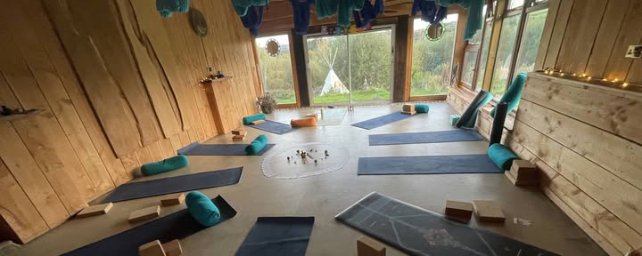 Bloom & Grow Yoga