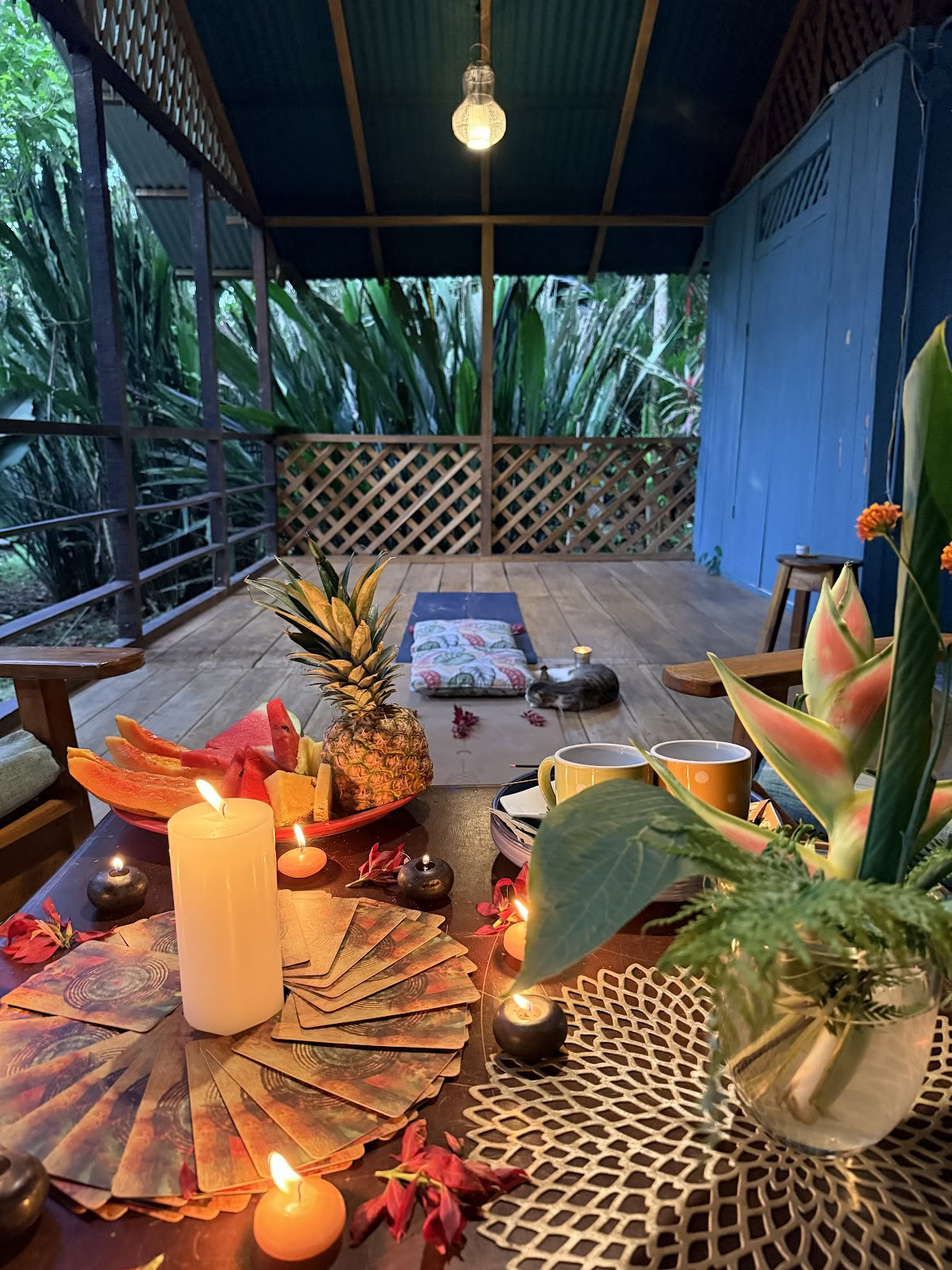 Julie LiT Yoga Teacher | Life Coach | Retreats