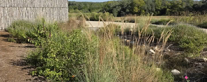 Campsite at Shield Ranch