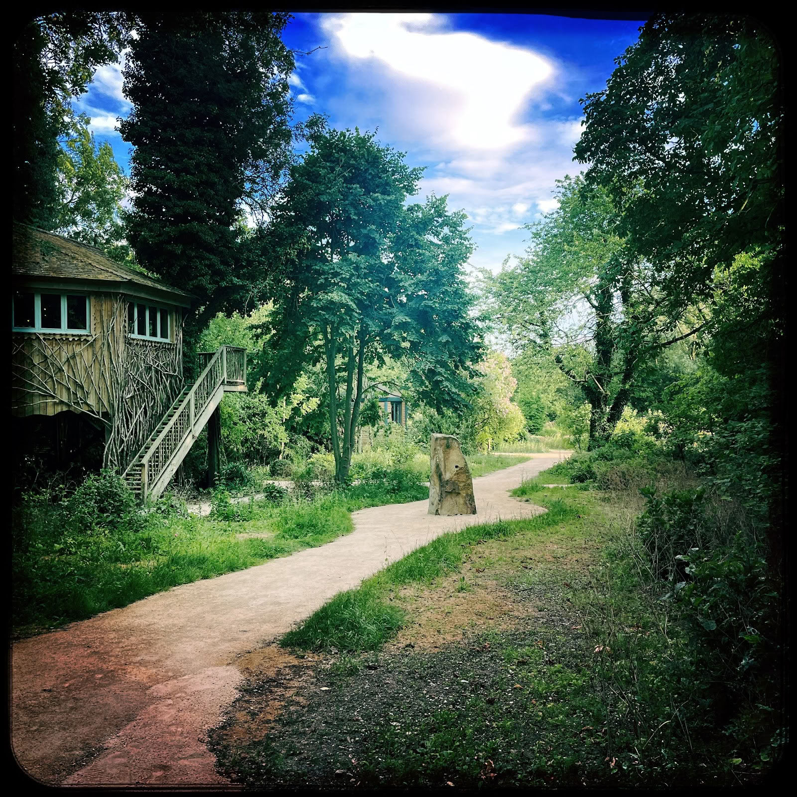The Natural Health Sanctuary