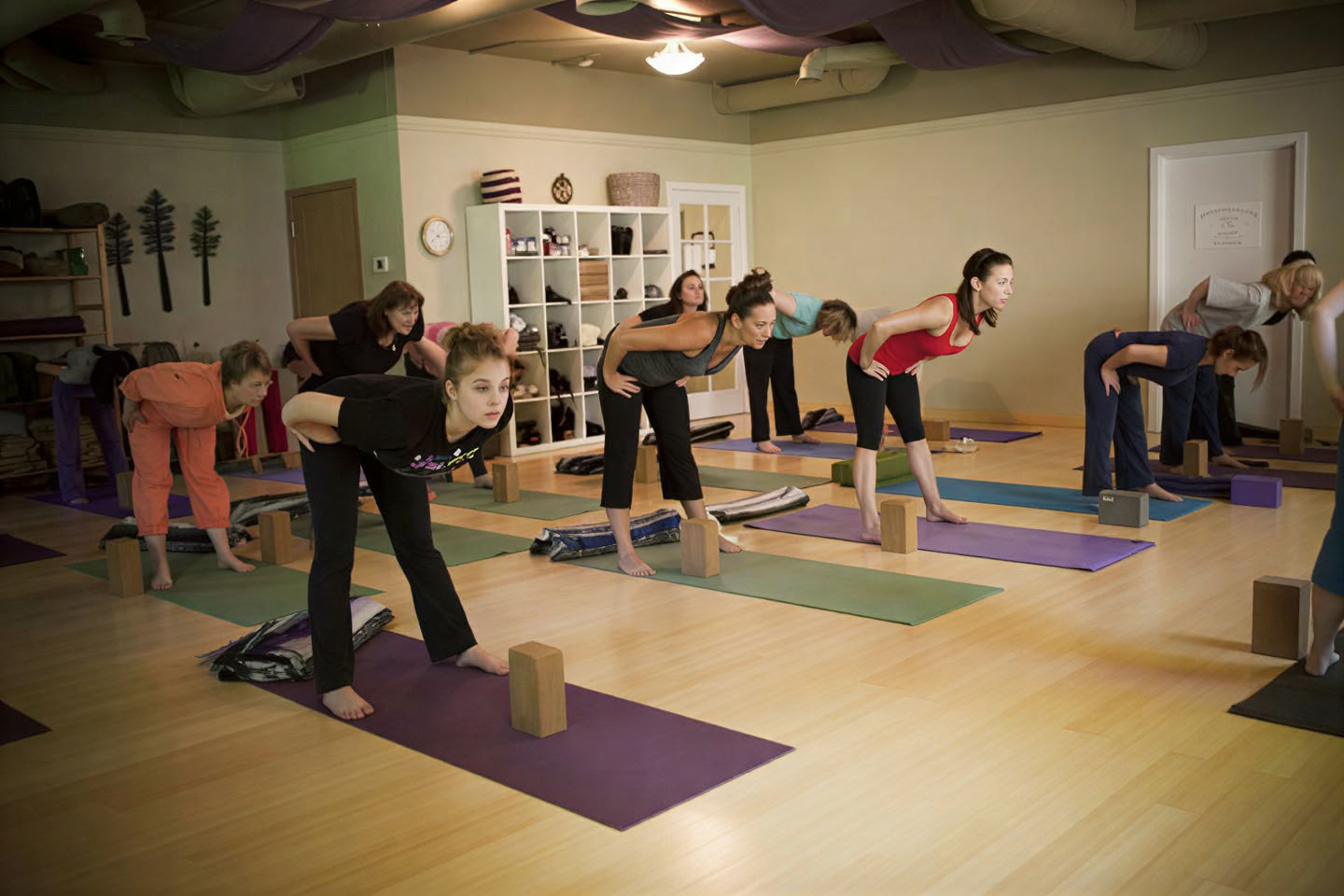 Three Trees Yoga