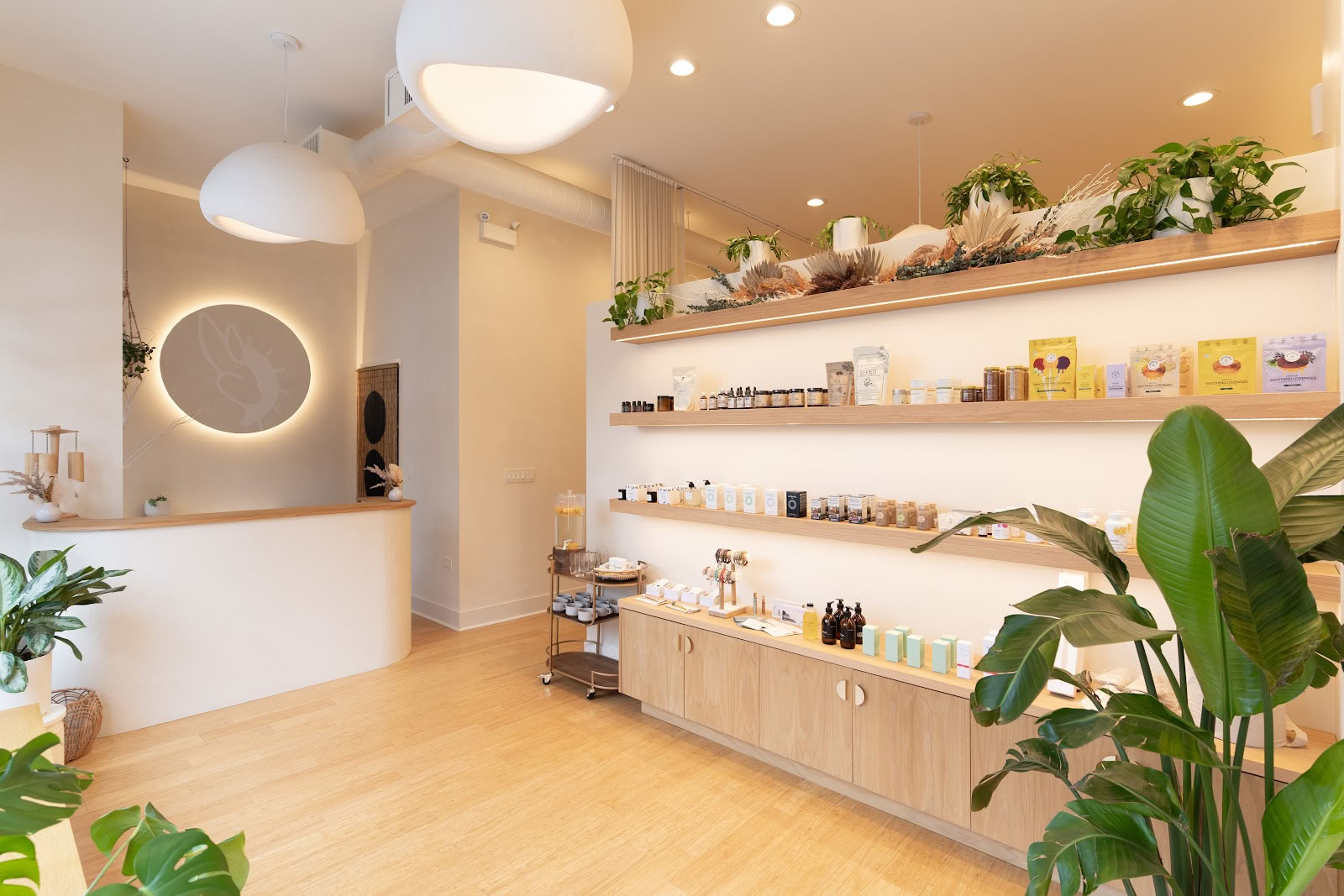 Moon Rabbit Acupuncture