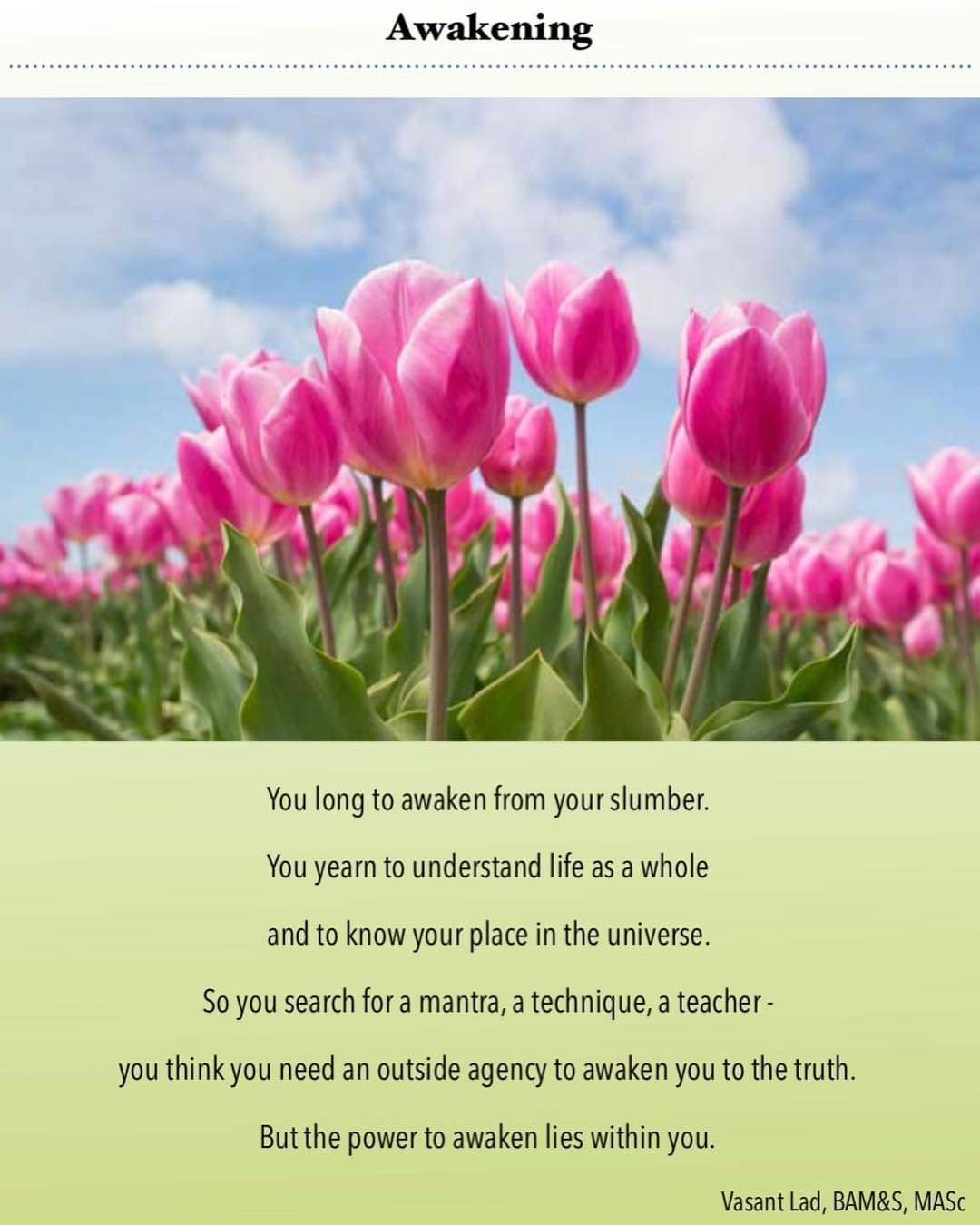 Embrace Ayurveda