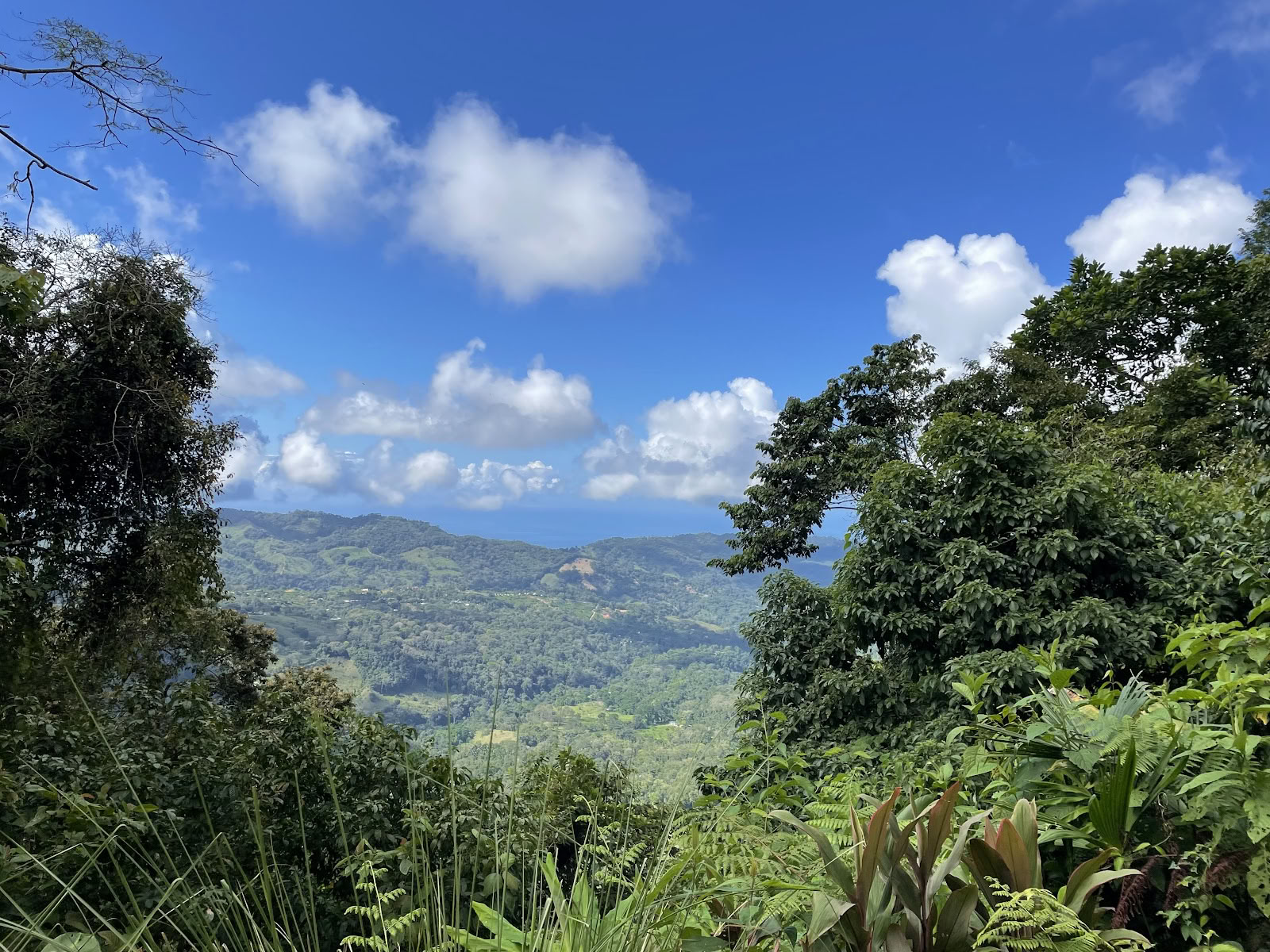 Pacific Journeys
