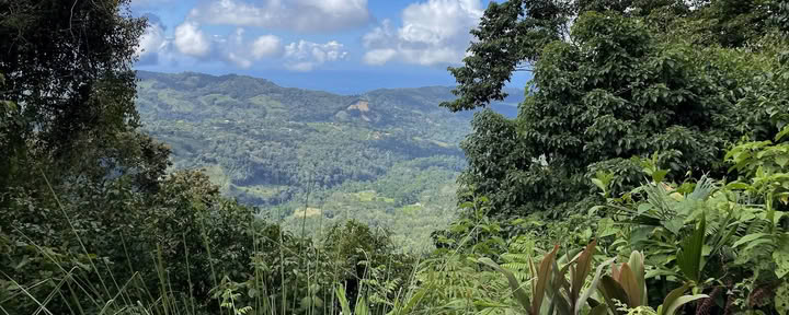 Pacific Journeys