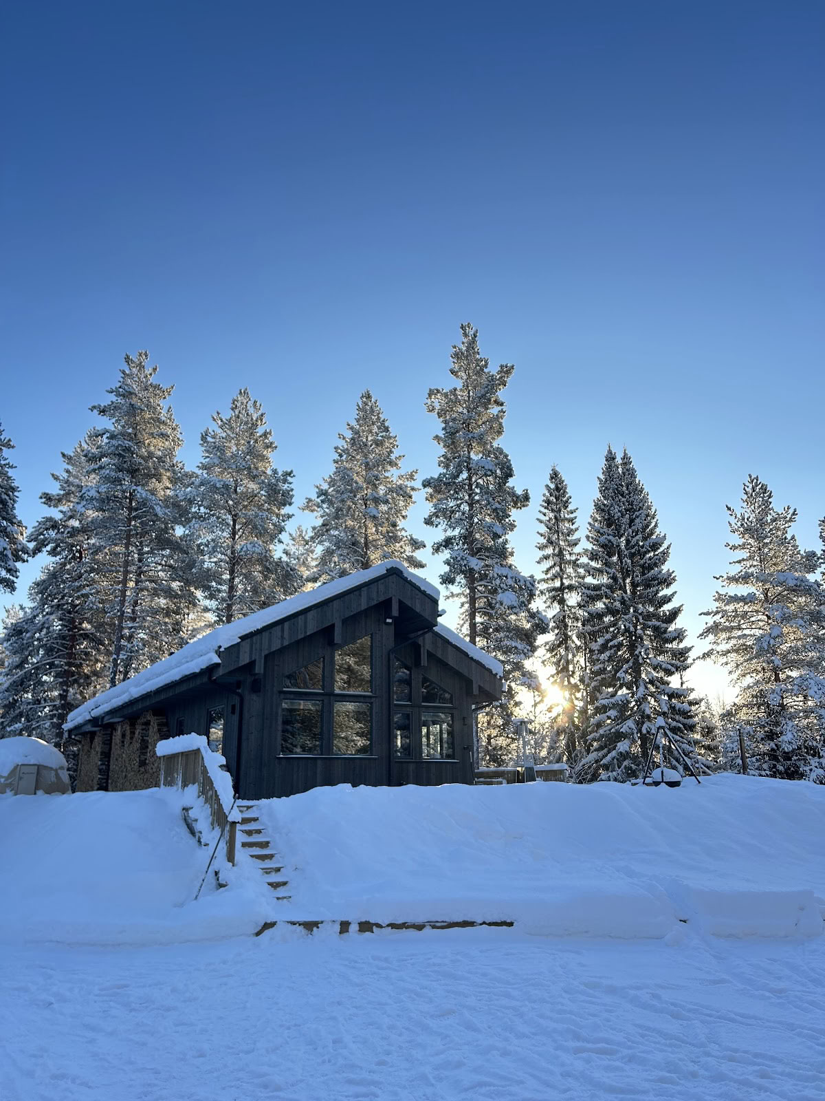 Forest Retreat