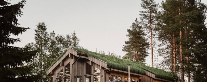 Forest Retreat
