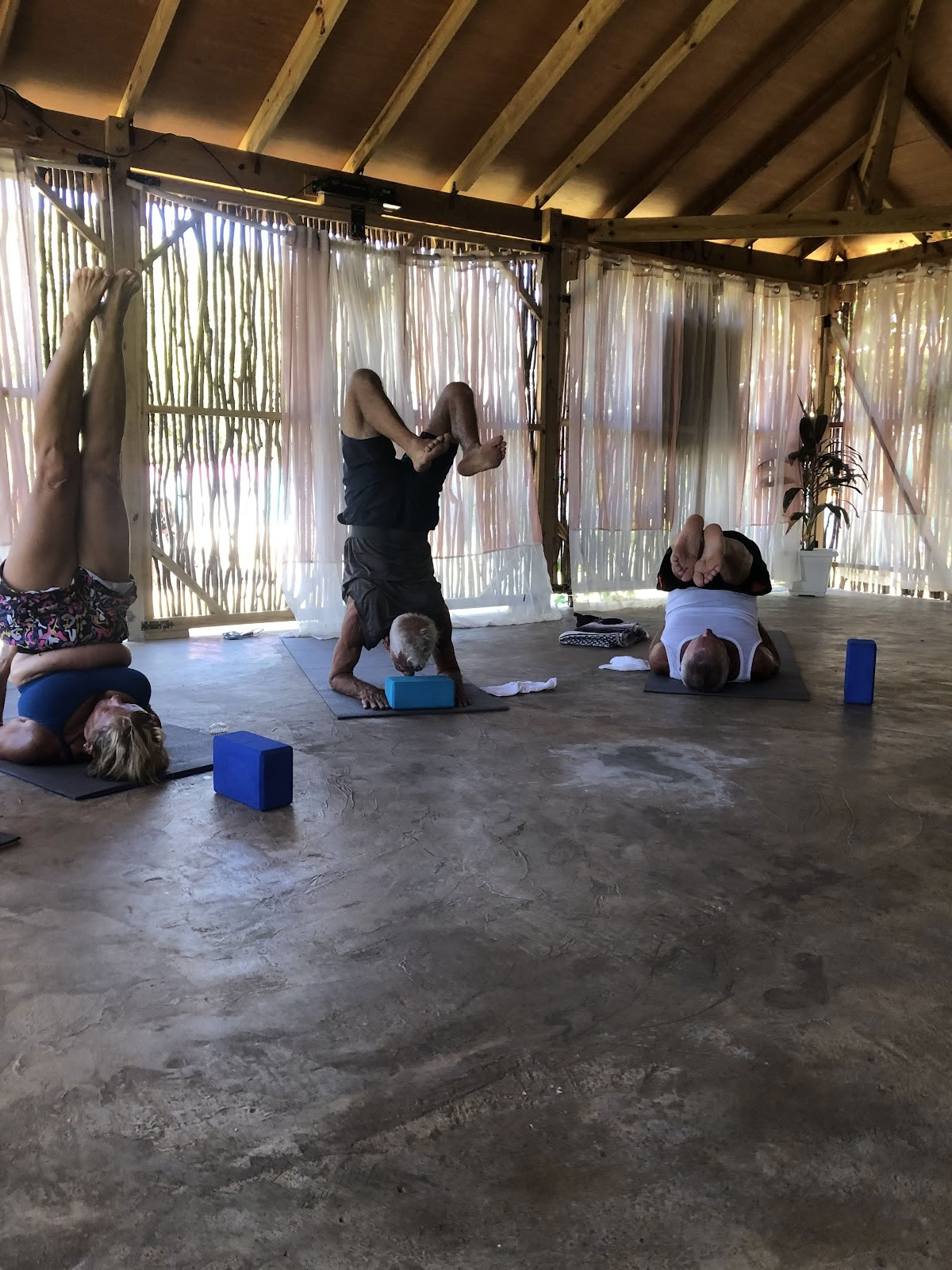 Wise Wellness -Yoga Centre /Day Spa and iTal Mama Vegan Cafe