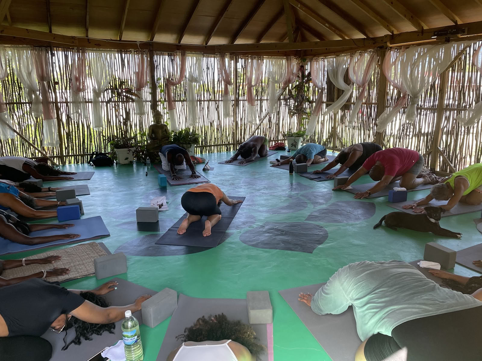 Wise Wellness -Yoga Centre /Day Spa and iTal Mama Vegan Cafe