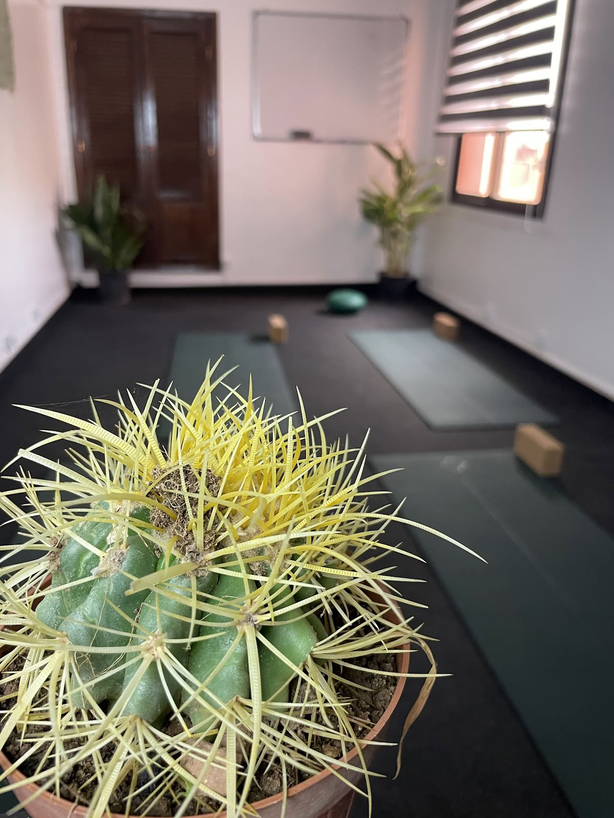 Kioze - Yoga Marrakesh, Studio Yoga 100% Femmes, Pilates Marrakesh, Dance Orientale, Boxe Femmes, Cours De Yoga Marrakesh