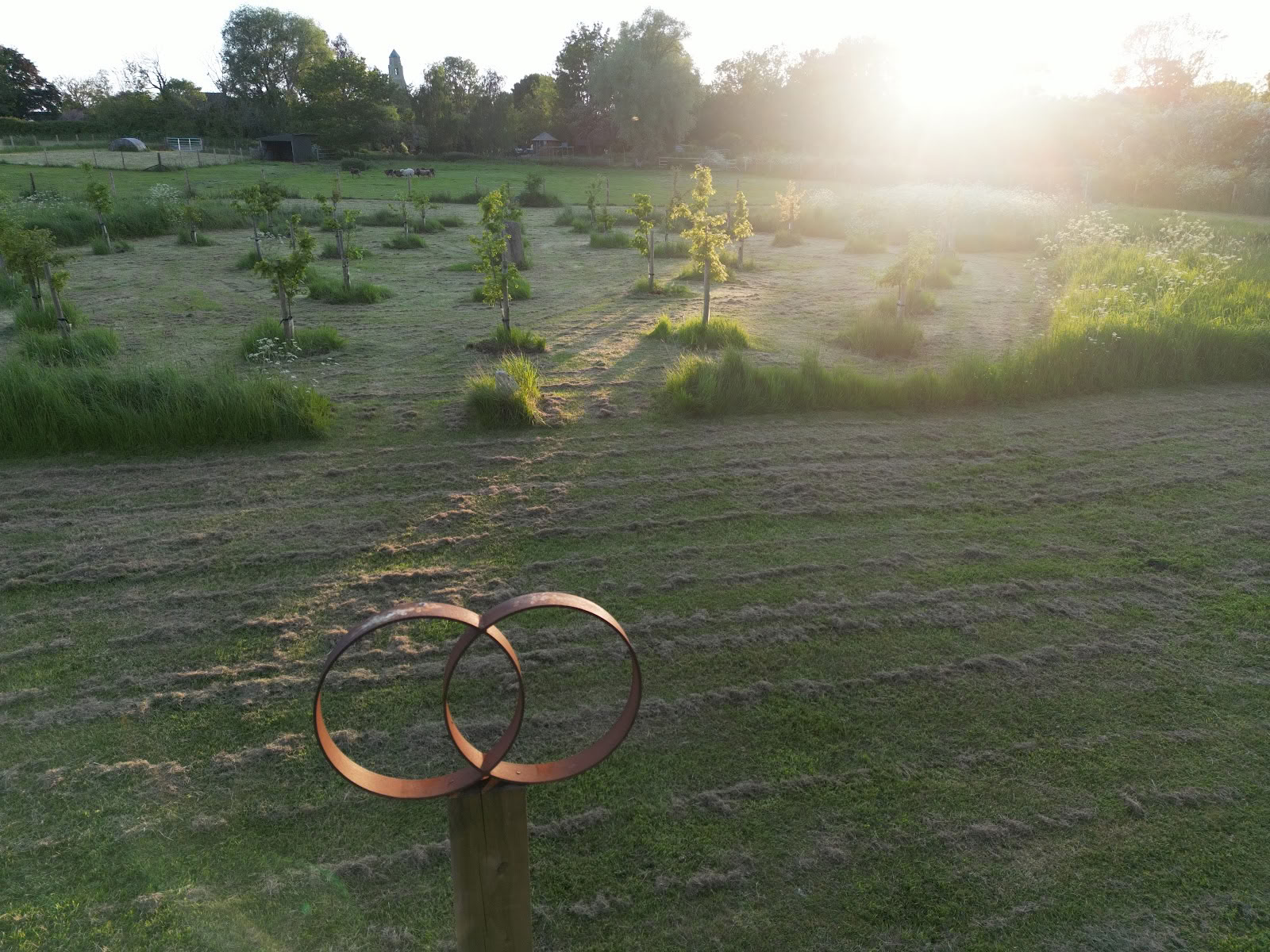 Field of Healing