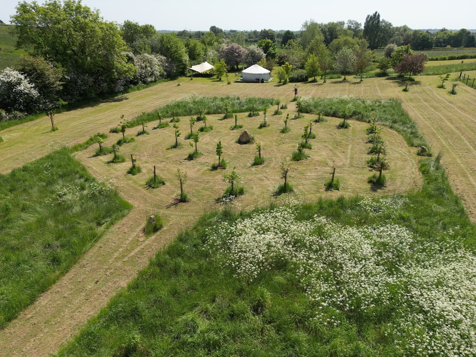Field of Healing