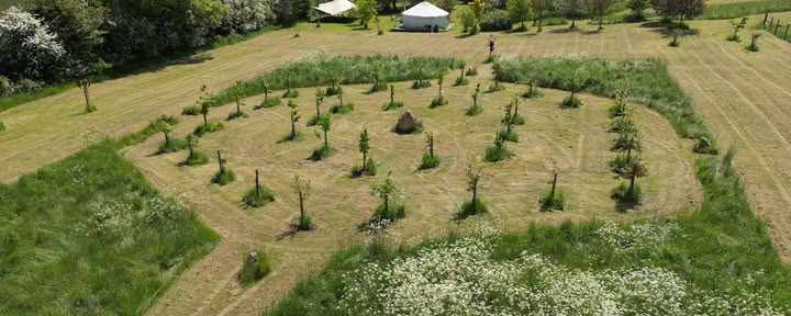 Field of Healing