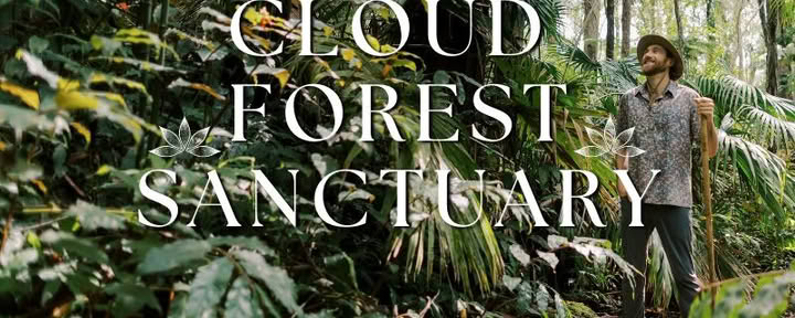 Kona Cloud Forest Sanctuary