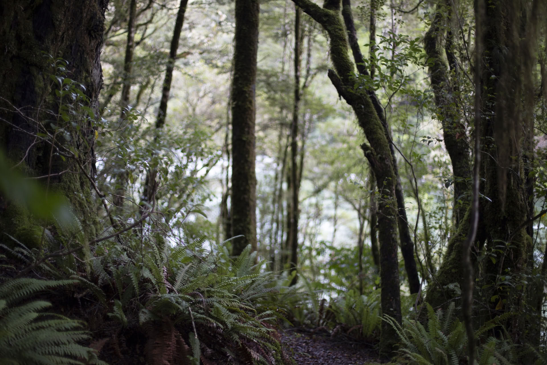Maruia River Retreat