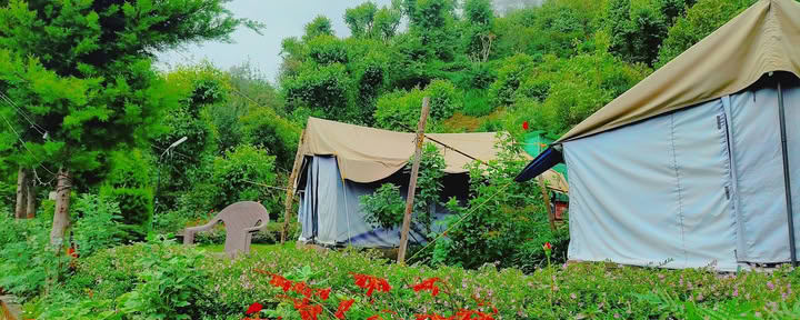 Mighty Himalayas camp