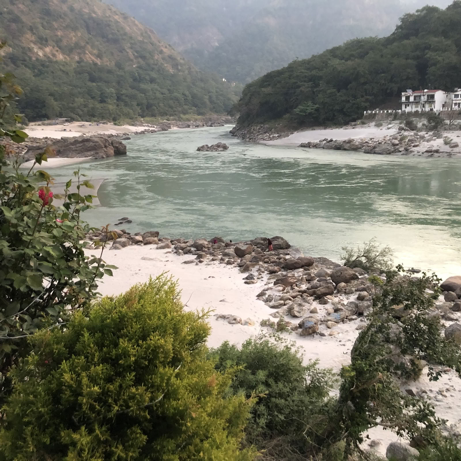 A Himalayan Yogi Institute Rishikesh