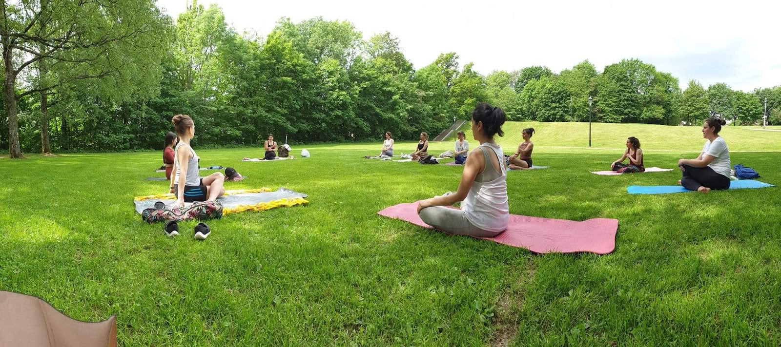 Natural Joy - Yoga Therapy