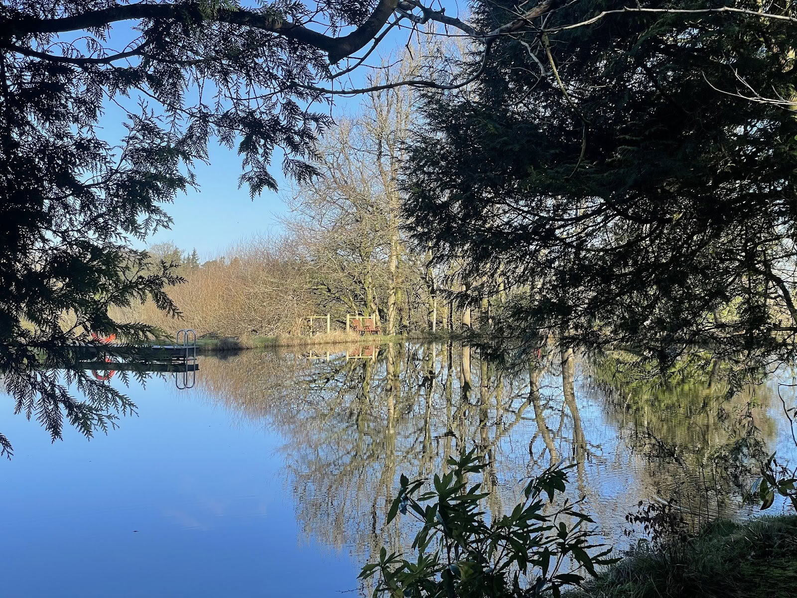 Oakhill Ponds