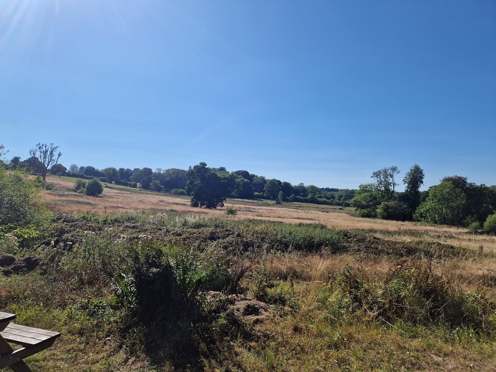 Oakhill Ponds