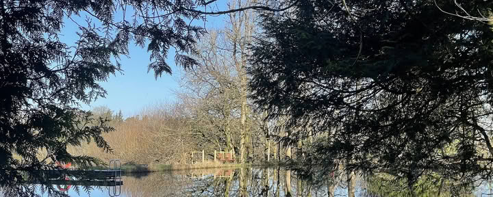 Oakhill Ponds