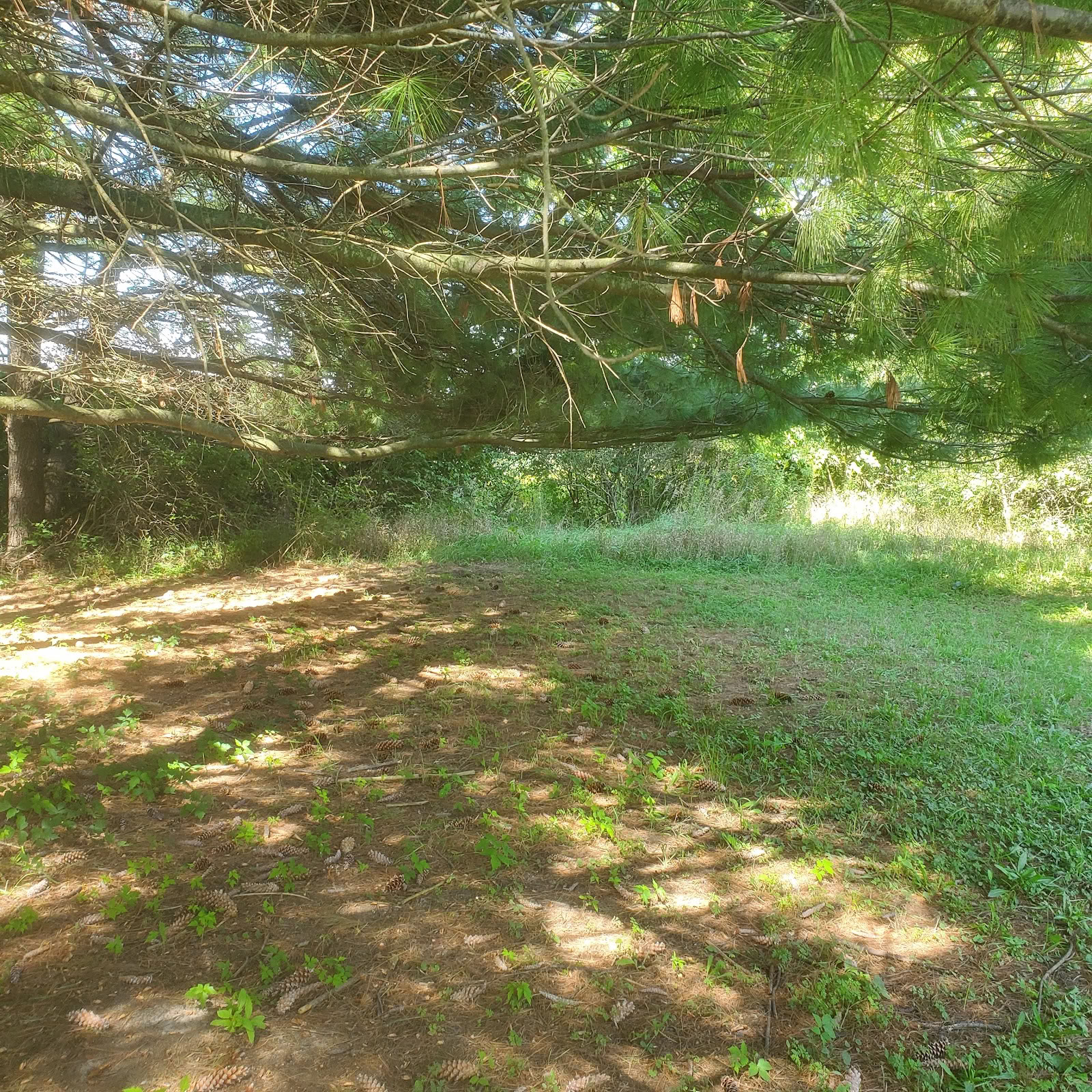Oakwood Retreat Center