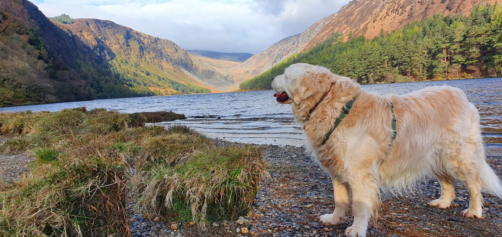 Glendalough Sanctuary