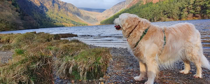 Glendalough Sanctuary