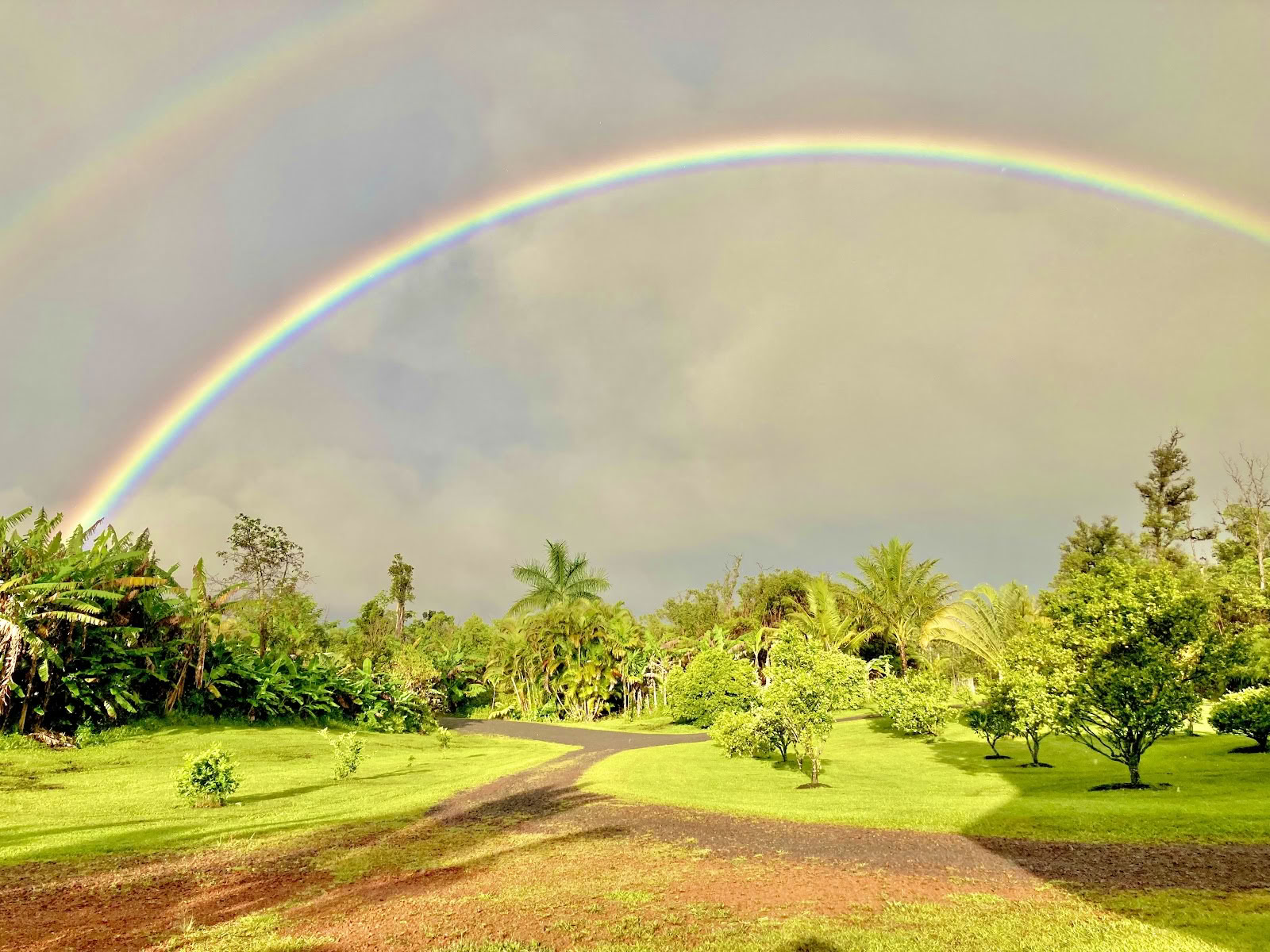 Puna Rainforest Retreat: Hot springs and steam vents