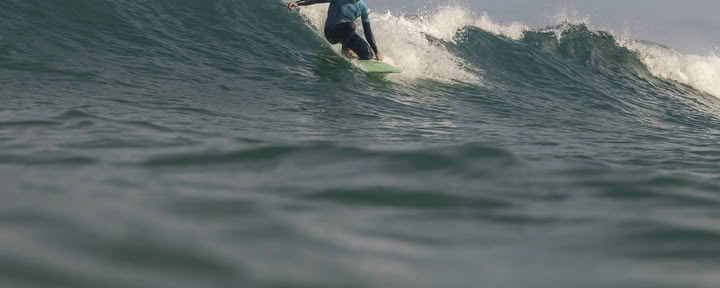 Rewild Surf School