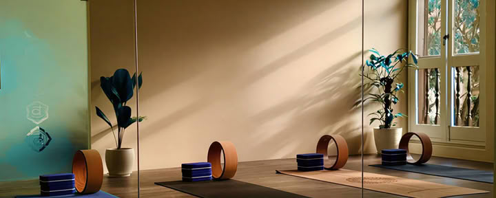 Rudrakshaa Yogashala – Traditional Yoga Studio in Singapore