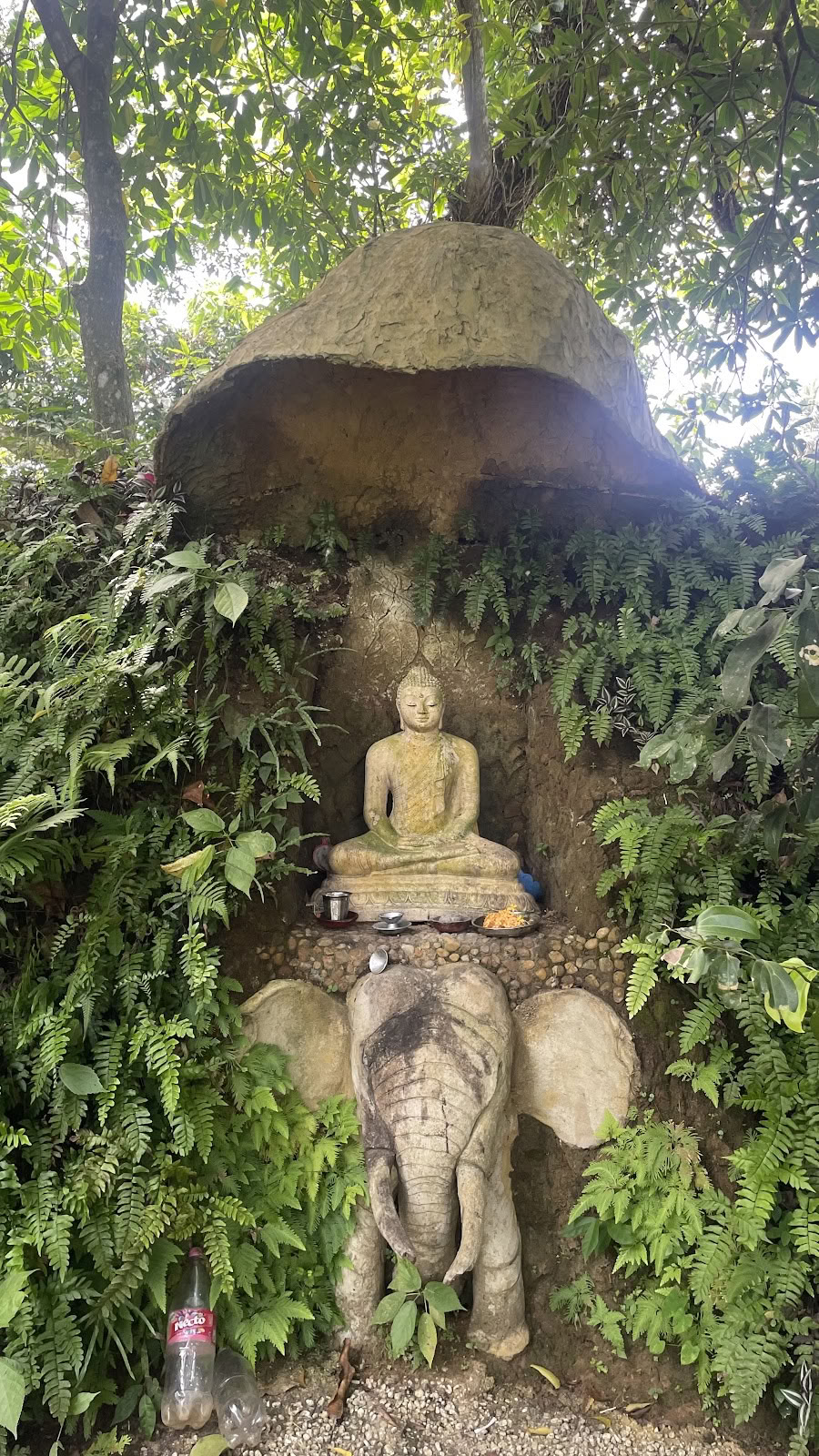 Senses - Yoga Studio & Yoga Teacher Training