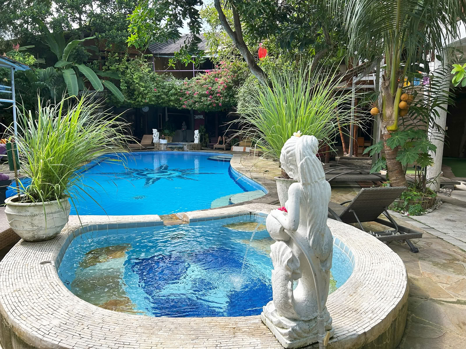 Serenity Eco Guesthouse and Yoga