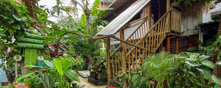 Serenity Eco Guesthouse and Yoga